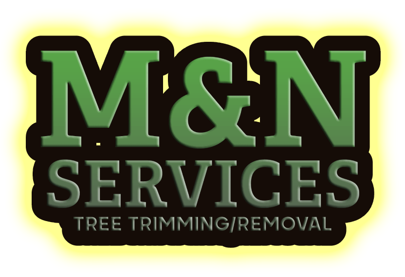 M&N Services Tree Trimming/Removal 